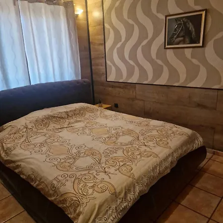 玛雅旅馆 招待所