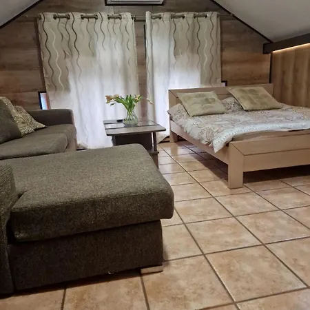 招待所 玛雅旅馆 诺威萨