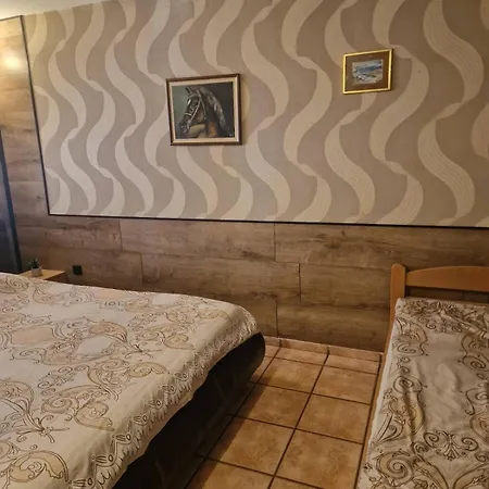 玛雅旅馆 招待所